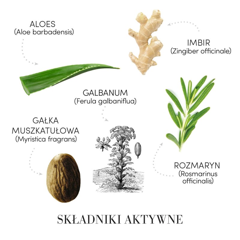 Medavita Puroxine Tonik składniki aktywne: Aloes, Imbir, Galbanum, Gałka Muszkatułowa, Rozmaryn