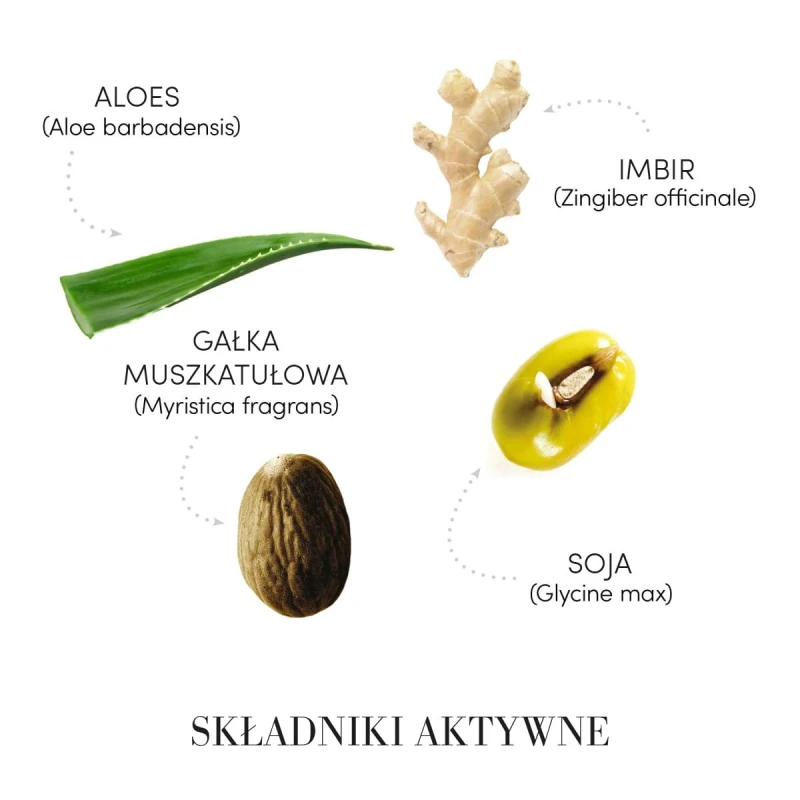 MEDAVITA Requilibre składniki aktywne: Aloes, Imbir, Gałka Muszkatołowa, Soja