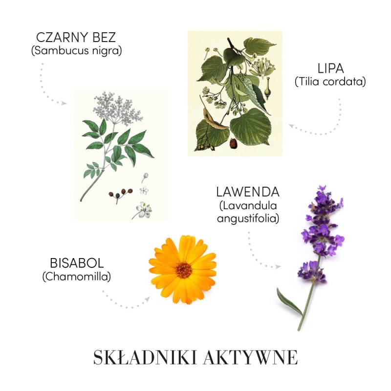 MEDAVITA Velour Dermorelax lotion składniki aktywne: Czarny Bez, Lipa, Lawenda, Bisabol