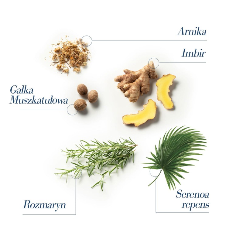 MEDAVITA Lotion Concentrée Homme - składniki aktywne